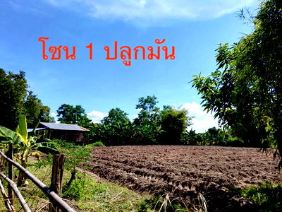 ที่ดิน พิบูลย์รักษ์ อุดรธานี : ขายที่ดินไร่นาสวนผสม ทำสวนปลูกบ้าน 4ไร่ 2งาน 