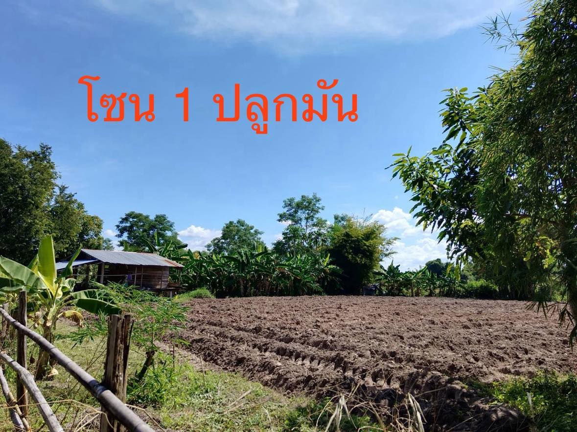 picture Land for sale (For farm and house) - 1/9