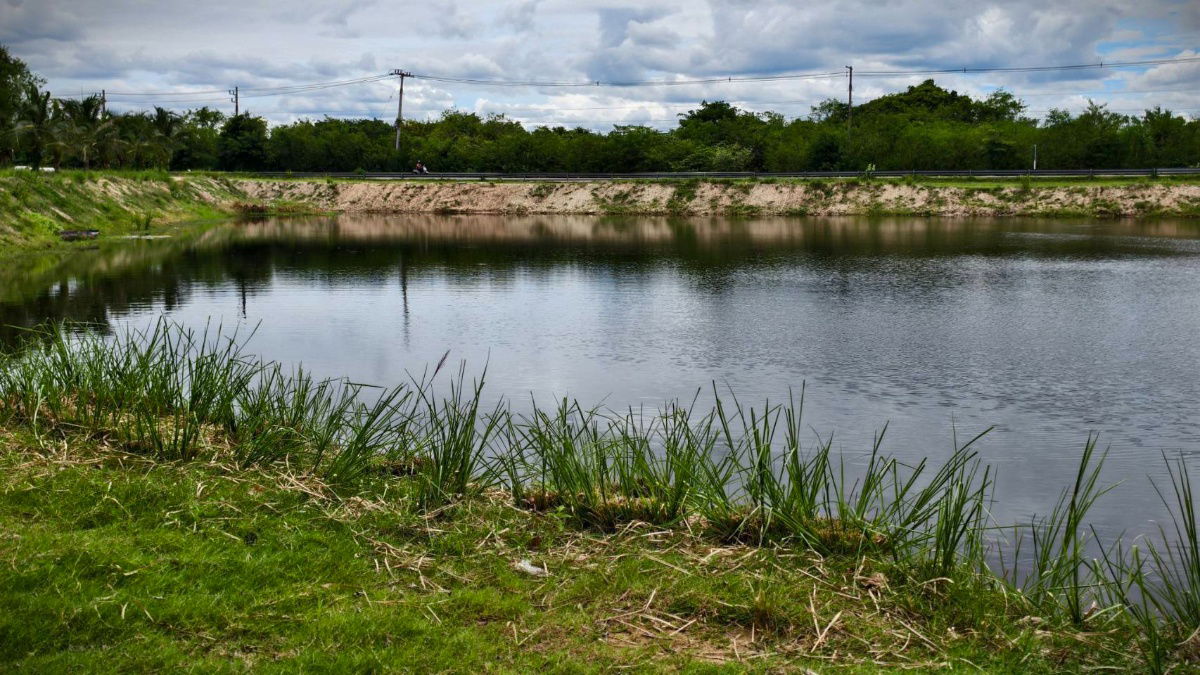 รูป บรรยากาศสุดชิว ริมน้ำห้วยตะเคียนวิวเขาลูกโต จ.เพชรบุรี100ตรวเพียง599000ผ่อน2ปีฟรีดอกจอง10000ทำสัญญา50000แถมฟรีถมแล้ว - รูปที่ 12/23