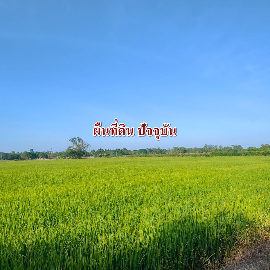 รูป ขายที่ดินคลอง9 หนองเสือ ติดถนนคอนกรีต 10ไร่ - รูปที่ 6/7