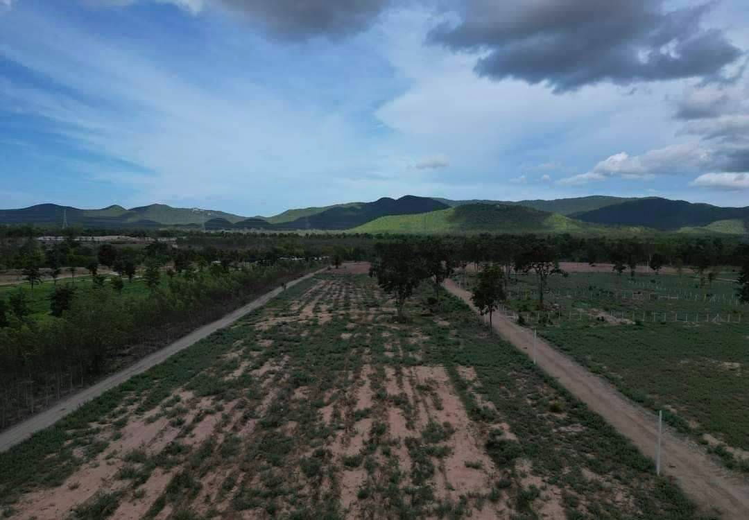 รูป ผ่อนตรงโครงการฟรีดอกไม่เช็คเครดิตเขาลูกโตๆใกล้แม่น้ำเพชร2กมเขื่อนแก่งกระจาน25นาที100ตรว399999ทำสัญญา40000ต.ท่ารวกท่ายางเพชรบุรี - รูปที่ 21/23