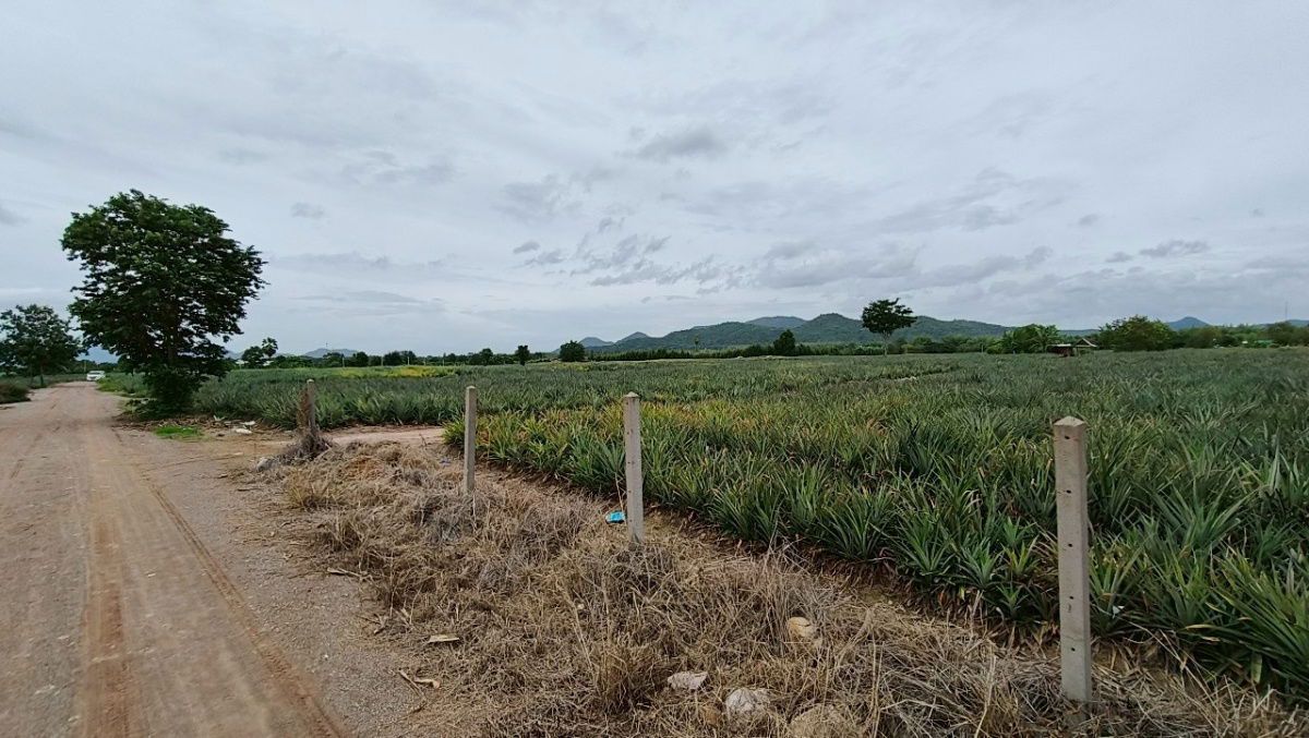 picture Lands for sale in Hua-hin 1.4 m. baht per rai - 6/10