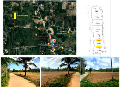 ที่ดิน หาดใหญ่ สงขลา : ขายที่ดินราคาถูก เนื้อที่ประมาณ 150ตร.ว. เหมาะสร้างบ้านเดี่ยว (น้ำไม่ท่วม)