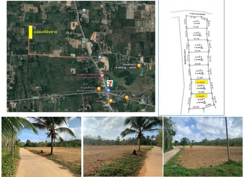 ขายที่ดินราคาถูก เนื้อที่ประมาณ 150ตร.ว. เหมาะสร้างบ้านเดี่ยว (น้ำไม่ท่วม)