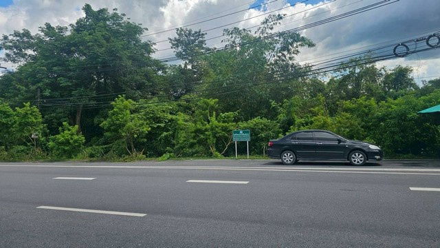 รูป TD1156 ขายที่ดินแปลงงาม ตำบลหินตั้ง อำเภอเมืองนครนายก นครนายก - รูปที่ 1/8