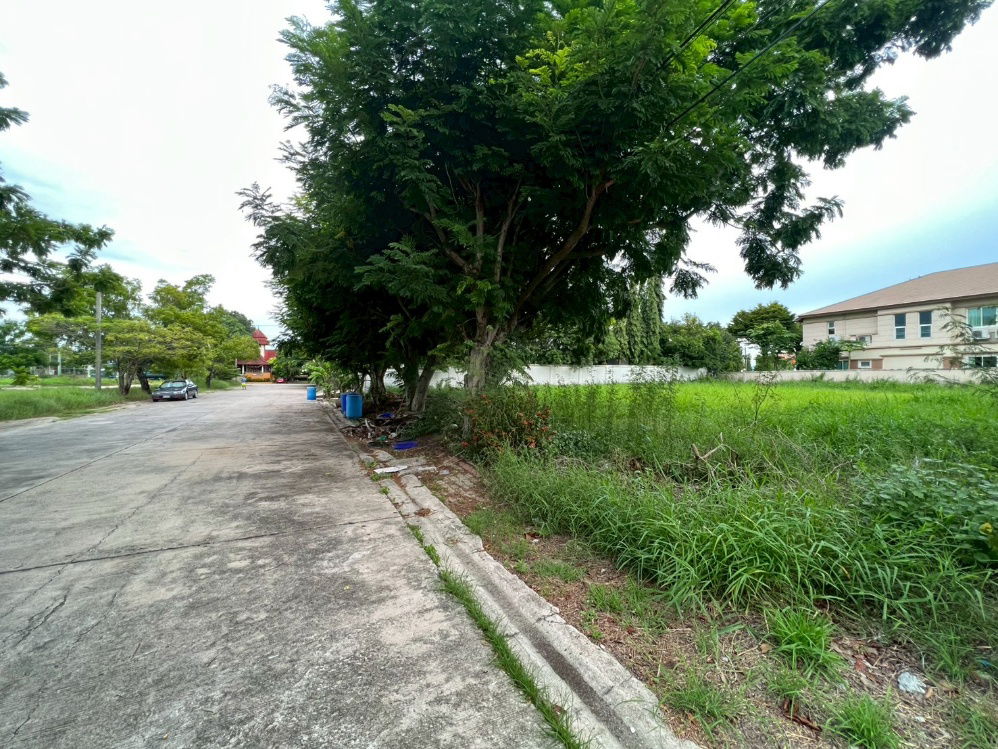 รูป ขายที่ดินเปล่าถมแล้ว หมู่บ้านกรีนวัลเล่ย์ บางนา-ตราด กม.15 แปลงสวย ทำเลดี พร้อมสร้างบ้าน - รูปที่ 8/15