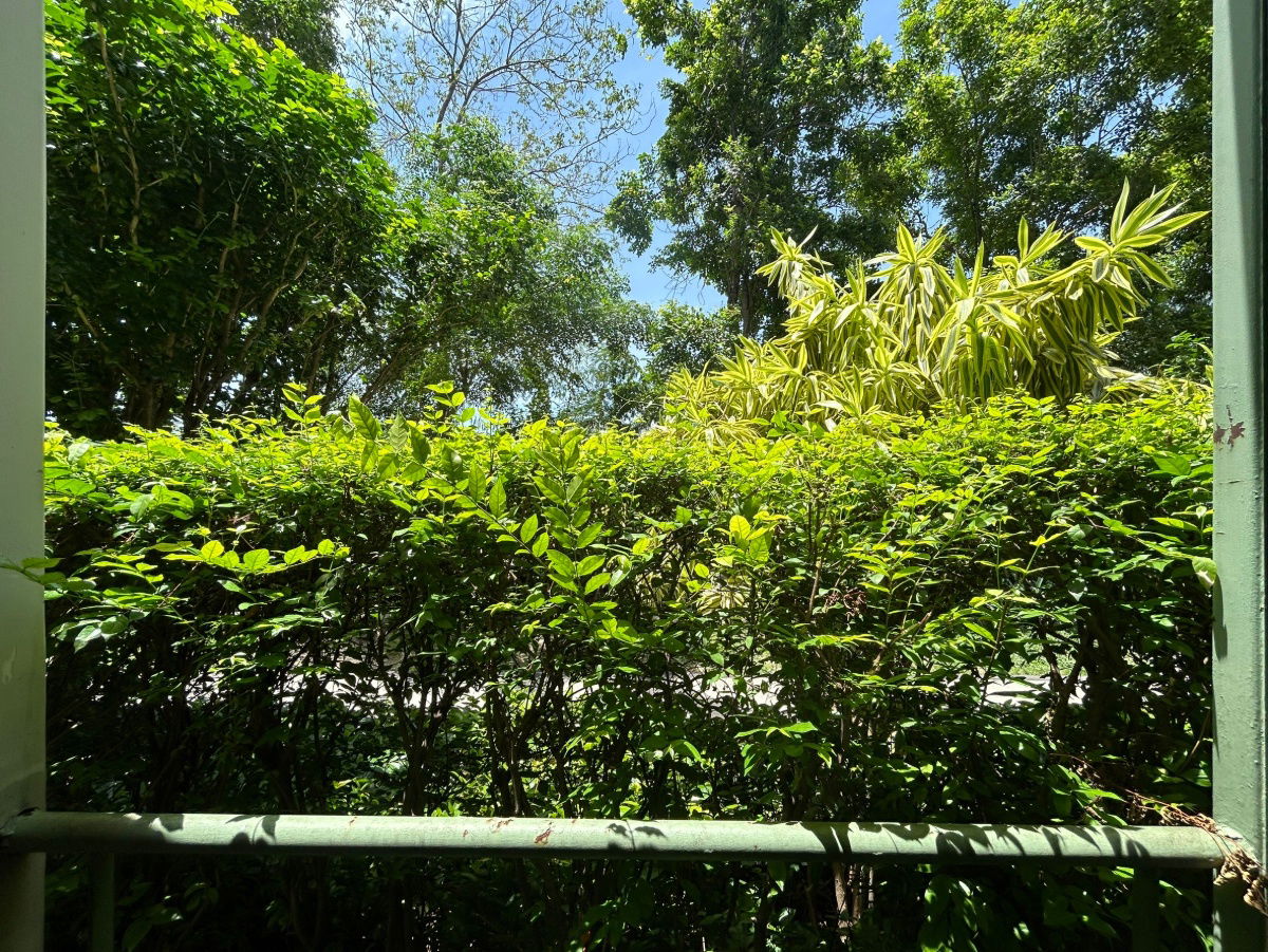 รูป JK 5588422 : ลุมพินี มิกซ์ เทพารักษ์-ศรีนครินทร์ - รูปที่ 11/11