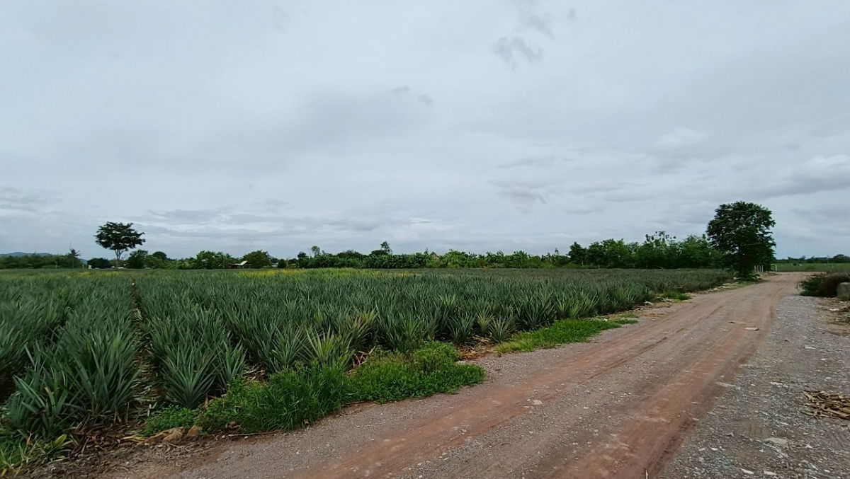 picture Lands for sale in Hua-hin 1.4 m. baht per rai - 2/10