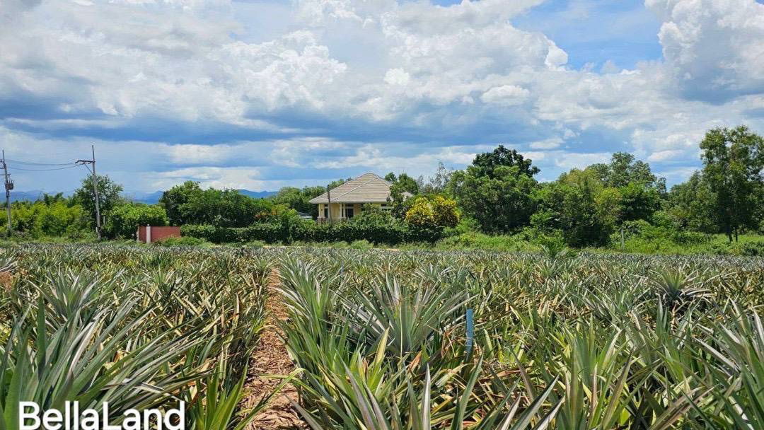 รูป ที่ดินสวยปากน้ำปราณประจวบติดแกรนแครยอนเหมาะทำบ้านพูลวิลล่าเก็งกำไร100ตรว490000ผ่อนฟรี12เดือนใกล้ทะเล5นาทีรพ.7กมอบต.ปราณ4กมโลตัส8กมหาดสามร้อยยอด12กม - รูปที่ 17/23