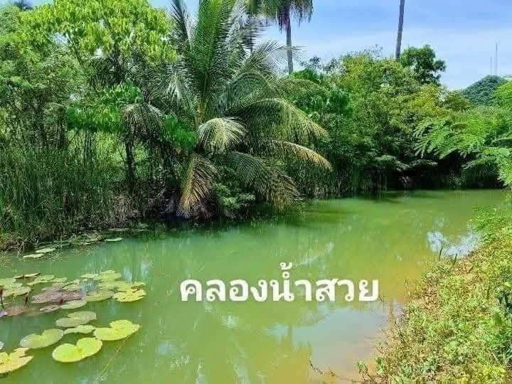 รูป ที่ดินสวยใกล้ทะเลติดคลองน้ำต.อ่างทองทับสะแกประจวบผ่อนแบ่งจ่าย60งวด304ตรวๆละ4000ทำสัญญา50000ฟรีดอกเบี้ยไฟฟ้าน้ำหน้าแปลงห่างทะเล2กมคาเฟ่ร้านอาหารทะเล - รูปที่ 10/19