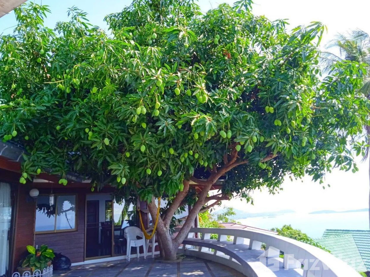 รูป ขาย วิลล่า 3 ห้องนอน ใน บ่อผุด, สุราษฎร์ธานี 1914978 - รูปที่ 35/35