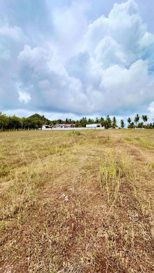 รูป ที่ดินสวยใกล้ทะเลติดคลองน้ำต.อ่างทองทับสะแกประจวบผ่อนแบ่งจ่าย60งวด304ตรวๆละ4000ทำสัญญา50000ฟรีดอกเบี้ยไฟฟ้าน้ำหน้าแปลงห่างทะเล2กมคาเฟ่ร้านอาหารทะเล - รูปที่ 8/19