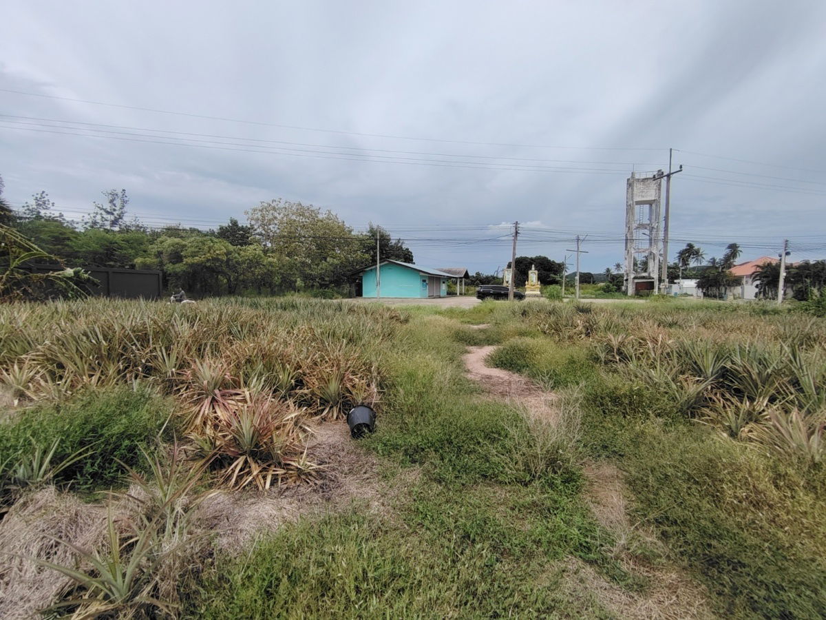 รูป ขายที่ดิน 2-0-0 ไร่ | ทำเลสะดวก ใกล้ทางหลวงหมายเลข 4 เหมาะสำหรับพัฒนาโครงการบ้านขนาดเล็ก ! - รูปที่ 4/6