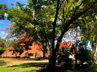 ขายที่ดิน : ⭐  ขายที่ดินสวย 14 ไร่ พญาเย็น–ปากช่อง 🏞️✨ วิวภูเขา อากาศดี ทำเลใกล้รีสอร์ต–คาเฟ่ เหมาะพัฒนาธุรกิจ!  List No.92875