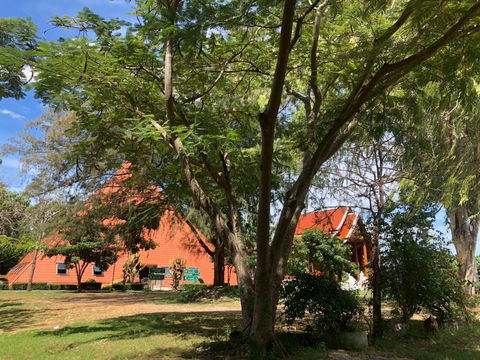 ⭐ ขายที่ดินสวย 14 ไร่ พญาเย็น–ปากช่อง 🏞️✨ วิวภูเขา อากาศดี ทำเลใกล้รีสอร์ต–คาเฟ่ เหมาะพัฒนาธุรกิจ! List No.92875