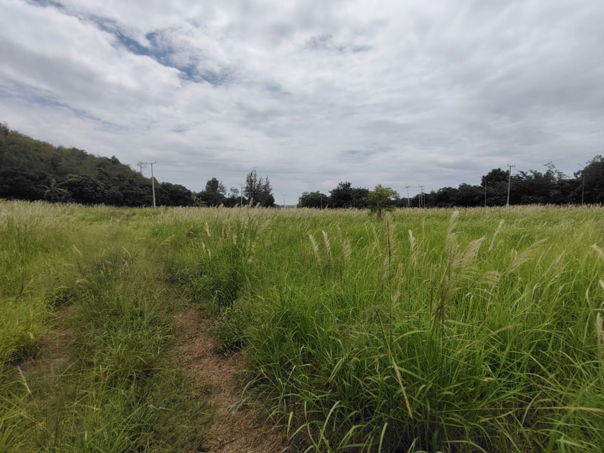 รูป ด่วน! ขายที่ดิน 5-1-44 ไร่ แปลงมุมขนาดใหญ่ ใกล้หาดปากน้ำปราณและเขากะโหลก - รูปที่ 8/9