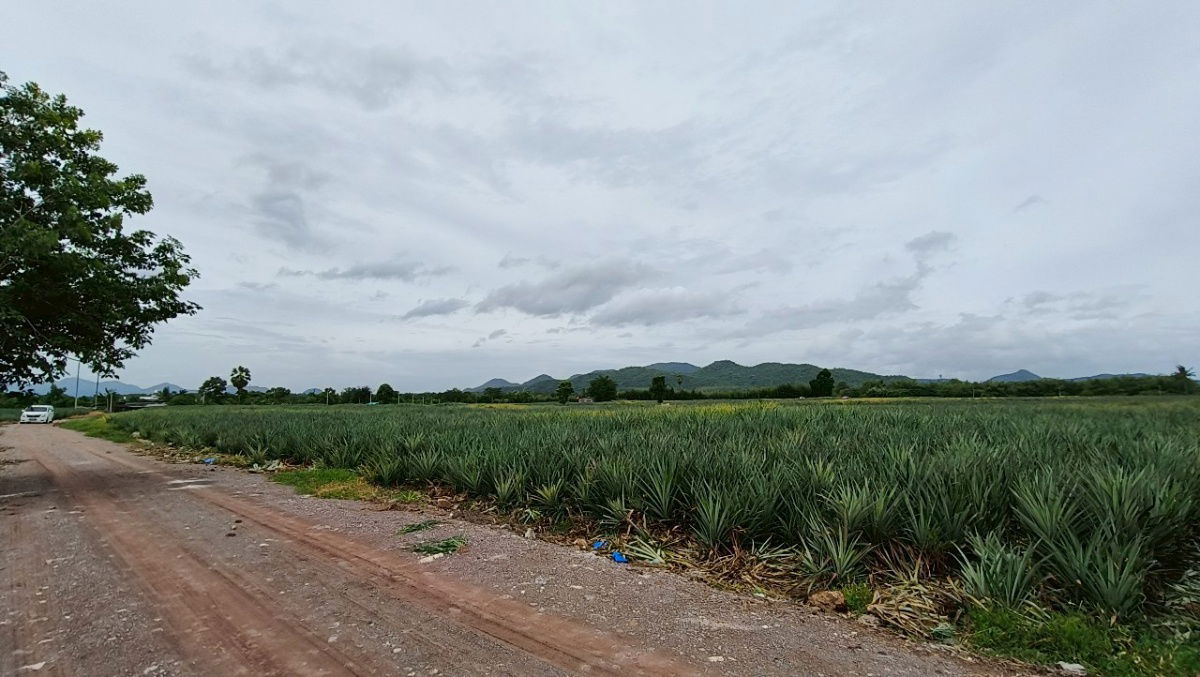 picture Lands for sale in Hua-hin 1.4 m. baht per rai - 3/10