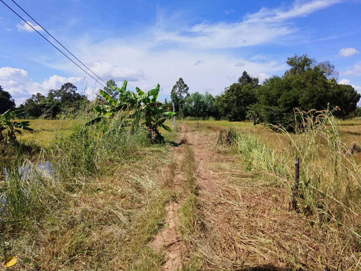 picture Land for sale (For farm and house) - 8/9