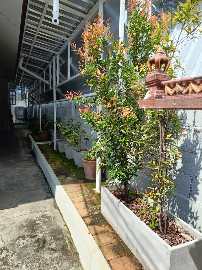 รูป ให้เช่าบ้านเดี่ยวชั้นเดียว 3 ห้องนอน 2 ห้องน้ำ 1ห้องรับแขก 1ห้องครัว - รูปที่ 14/15