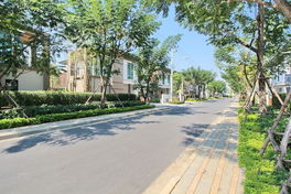 รูป ZERENE KALLAPAPHRUEK - รูปที่ 4/5