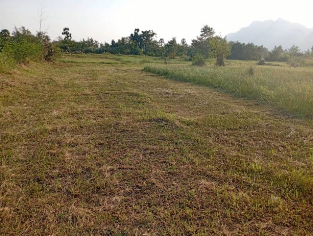 รูป ⭐ขายที่ดินเปล่า 72 ตร.วา ชะอำ–นายาง 🏡🌿 ทำเลดี บรรยากาศสงบ เหมาะสร้างบ้านพักตากอากาศ!  Listing no. 95304 - รูปที่ 6/9