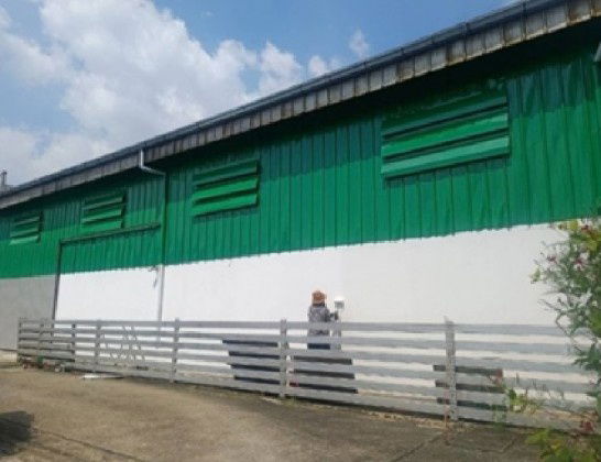 รูป ให้เช่าโกดัง พร้อมสำนักงาน ทำเลพัฒนาการ / มีชั้นวางสินค้าในโกดัง / พื้นที่ใช้สอย 400 ตารางเมตร / ซอยพัฒนาการ เข้าซอยไม่ลึก ทำเลดีมาก - รูปที่ 11/12