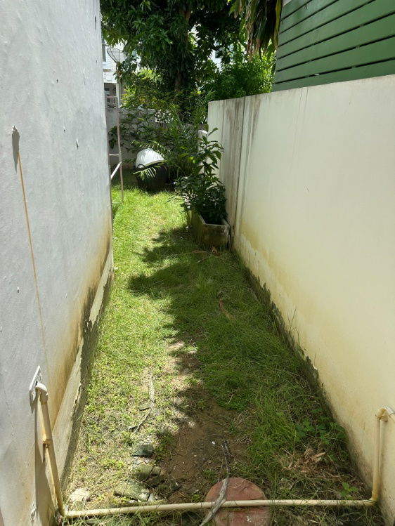 รูป ขายบ้านแฝดโฮมเพลส วงแหวน - รัตนาธิเบศร์ บางใหญ่ พร้อมเข้าอยู่ ทำเลดี ใกล้รถไฟฟ้าสายสีม่วง  - รูปที่ 14/15