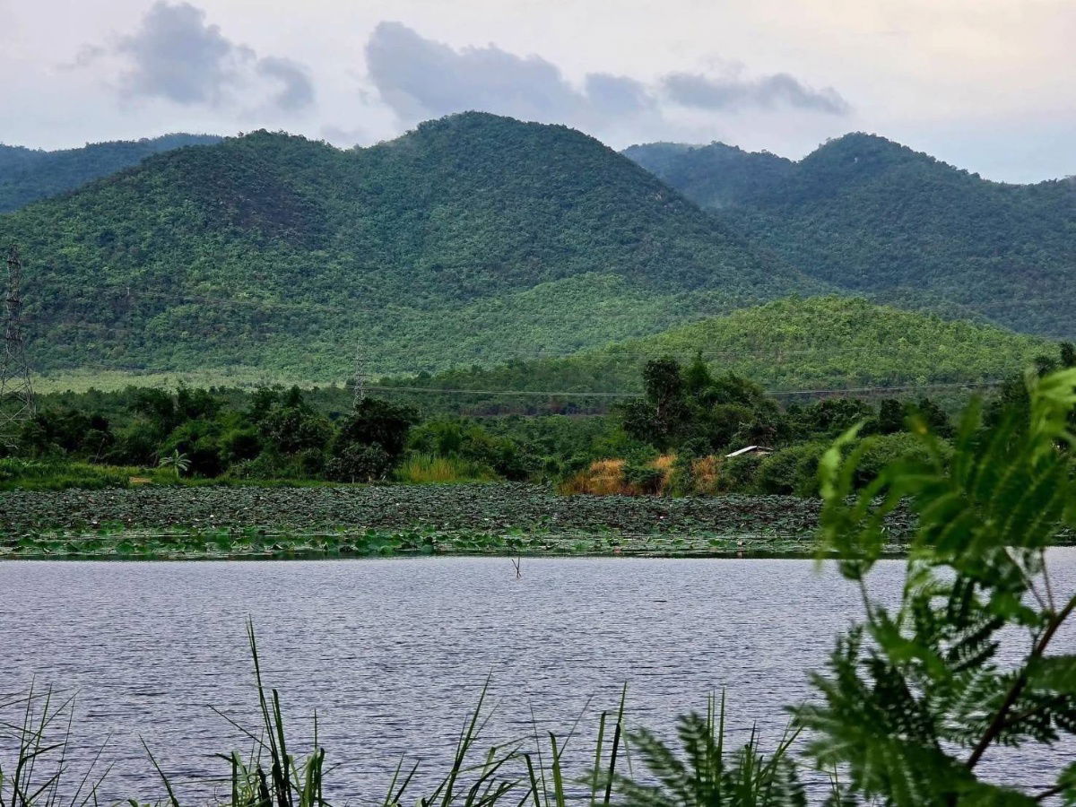 รูป บรรยากาศสุดชิว ริมน้ำห้วยตะเคียนวิวเขาลูกโต จ.เพชรบุรี100ตรวเพียง599000ผ่อน2ปีฟรีดอกจอง10000ทำสัญญา50000แถมฟรีถมแล้ว - รูปที่ 17/23