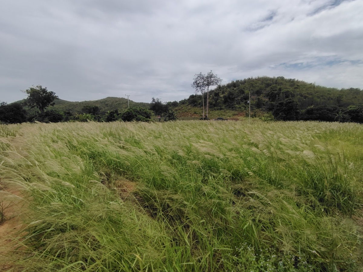 รูป ด่วน! ขายที่ดิน 5-1-44 ไร่ แปลงมุมขนาดใหญ่ ใกล้หาดปากน้ำปราณและเขากะโหลก - รูปที่ 7/9