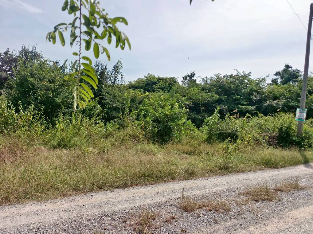 รูป 🔥 ขายที่ดินเปล่าแปลงสวย 100 ตารางวา (1 งาน) ต.หินเหล็กไฟ อ.หัวหิน จ.ประจวบคีรีขันธ์ - รูปที่ 3/5