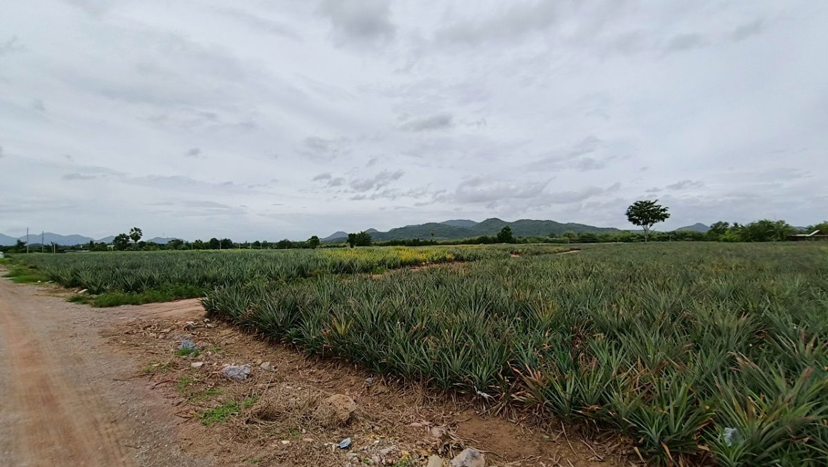 picture Lands for sale in Hua-hin 1.4 m. baht per rai - 7/10