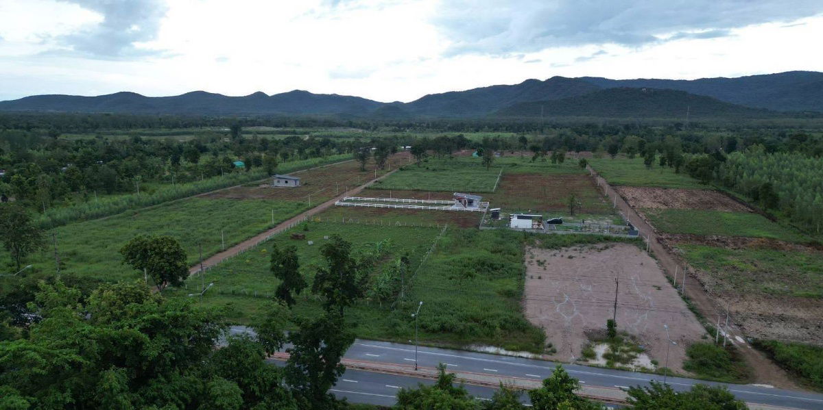 รูป ผ่อนตรงโครงการฟรีดอกไม่เช็คเครดิตเขาลูกโตๆใกล้แม่น้ำเพชร2กมเขื่อนแก่งกระจาน25นาที100ตรว399999ทำสัญญา40000ต.ท่ารวกท่ายางเพชรบุรี - รูปที่ 12/23