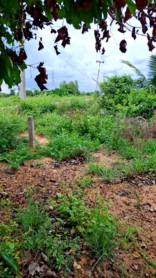 ที่ดิน พนัสนิคม ชลบุรี : ขายที่ถมแล้ว ขายถูก ใกล้ถนนทางหลวง 3025 ( ท่าข้าม-สระสี่เหลี่ยม ) เนื้อที่  200  ตรว. ต.ท่าข้าม อ.พนัสนิคม จ.ชลบุรี