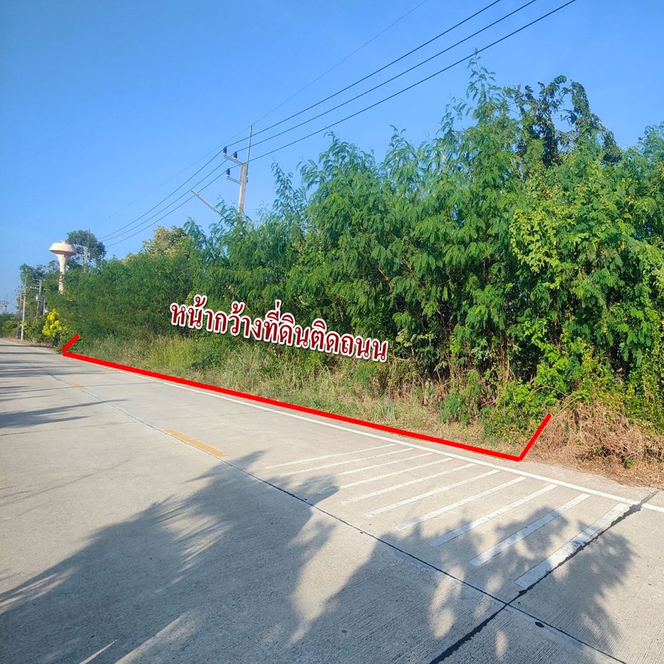 รูป ขายที่ดินคลอง9 หนองเสือ ติดถนนคอนกรีต 10ไร่ - รูปที่ 1/7