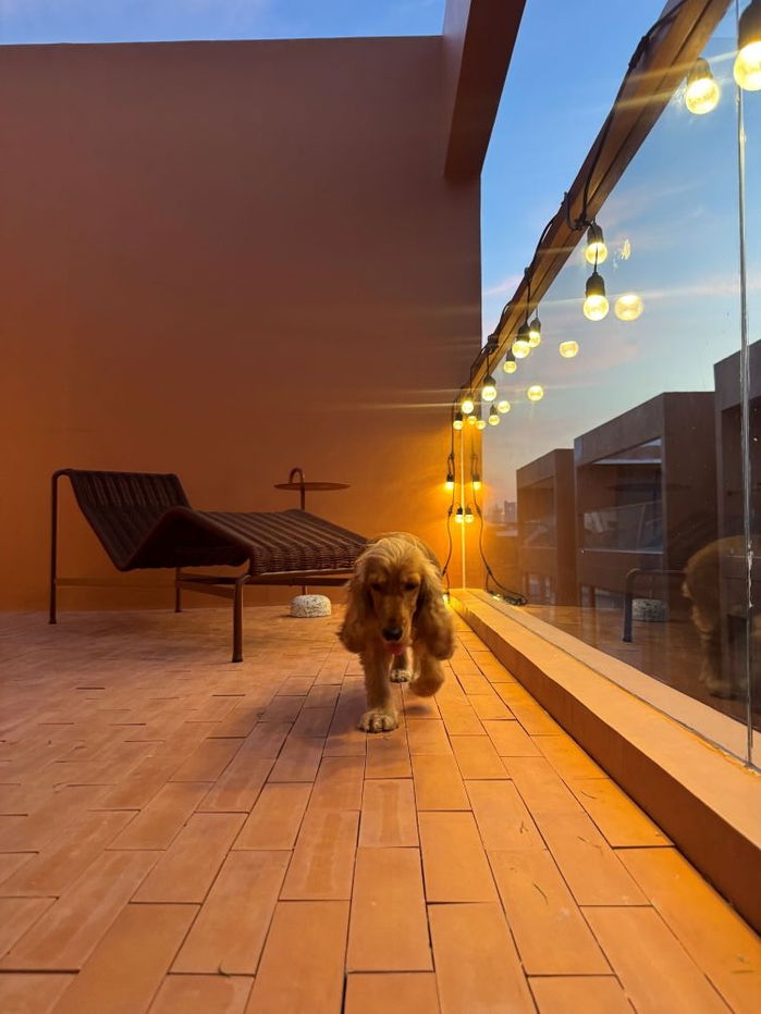 รูป ขายบ้านเดี่ยวอาลม อารีย์ - ALOM ARI 3 ชั้น + Rooftop เป็นส่วนตัว พิเศษเพียง 8 ครอบครัว ทำเลดี ใจกลางอารีย์ ใกล้ BTS อารีย์เพียง 3 นาที - รูปที่ 13/16