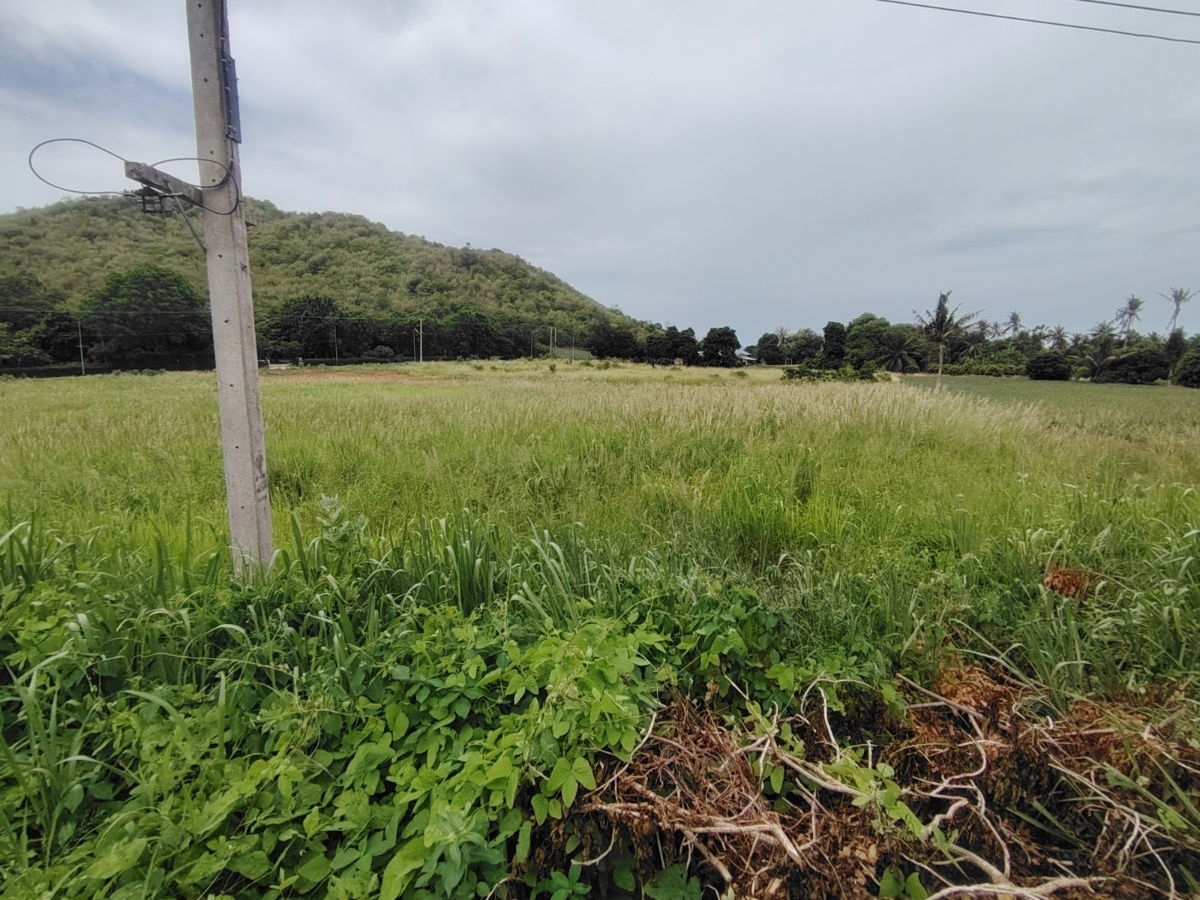 รูป ด่วน! ขายที่ดิน 5-1-44 ไร่ แปลงมุมขนาดใหญ่ ใกล้หาดปากน้ำปราณและเขากะโหลก - รูปที่ 4/9