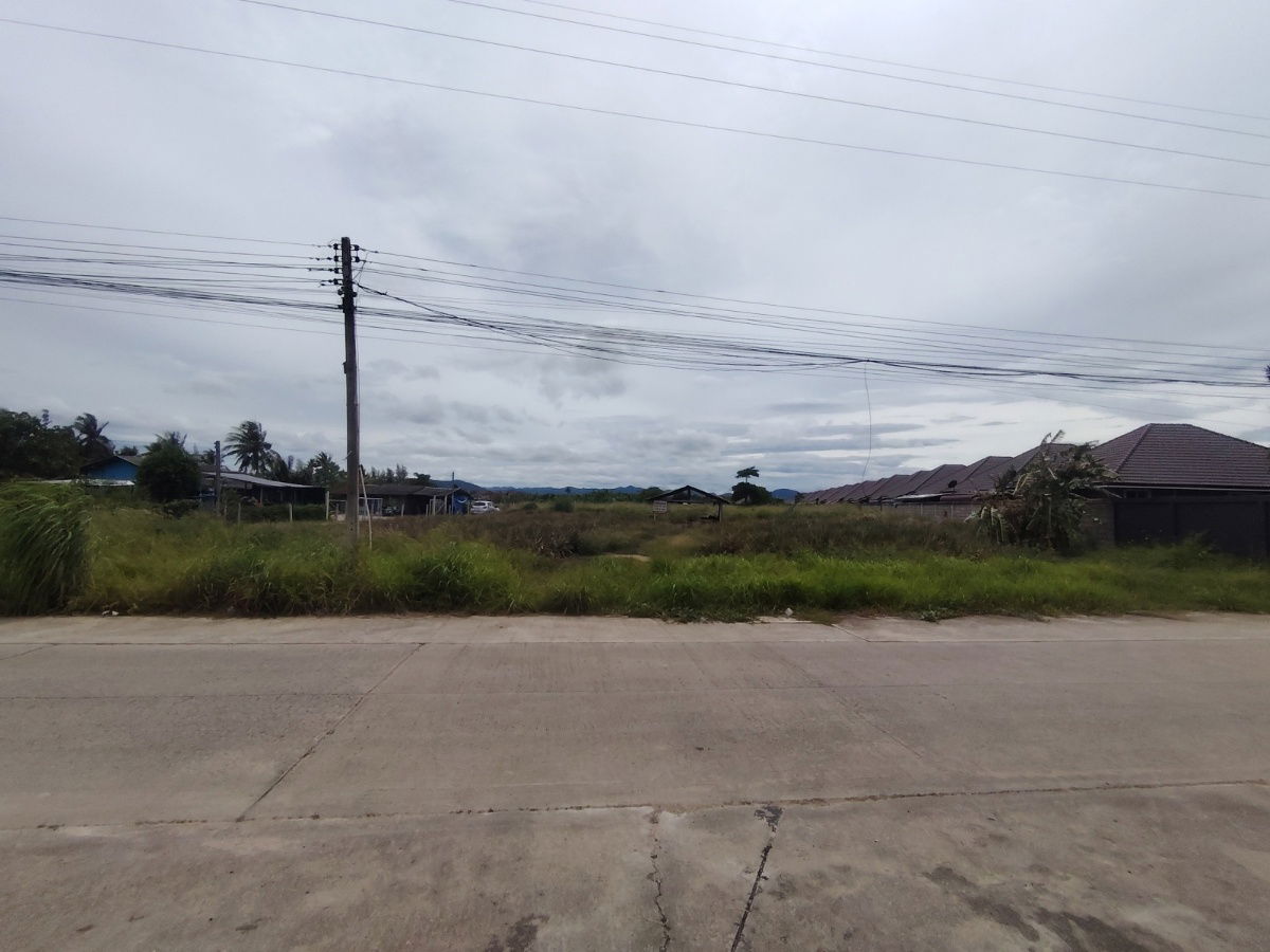 รูป ขายที่ดิน 2-0-0 ไร่ | ทำเลสะดวก ใกล้ทางหลวงหมายเลข 4 เหมาะสำหรับพัฒนาโครงการบ้านขนาดเล็ก ! - รูปที่ 3/6