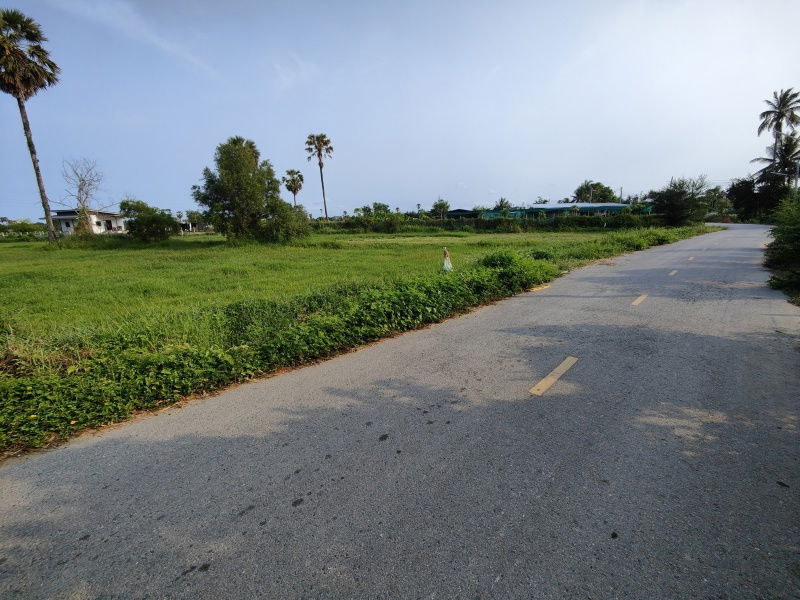 รูป เจ้าของต้องการขายที่ดิน 2-0-0 ไร่ ต้องการขายด่วน ! พิจารณาข้อเสนอที่สมเหตุสมผลทั้งหมด - รูปที่ 2/8