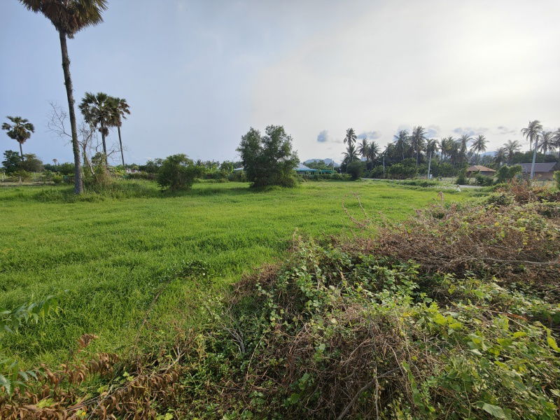 รูป เจ้าของต้องการขายที่ดิน 2-0-0 ไร่ ต้องการขายด่วน ! พิจารณาข้อเสนอที่สมเหตุสมผลทั้งหมด - รูปที่ 6/8