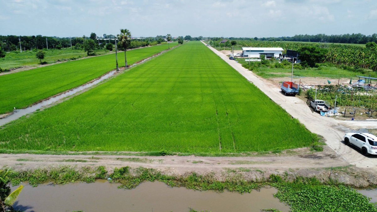 รูป ปลูกบ้านทำสวนโกดังเก็งกำไรใกล้เซเว่นซีเจมอลล์ โลตัส วัดโรงเรียนถนนคอนกรีต8.75มไร่ละ 1.45 ล้านบาทเนื้อที่ 1ไร่คลอง 11หนองเสือปทุมธานีรีบมาดูก่อน - รูปที่ 15/23