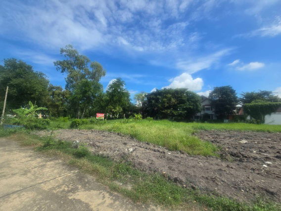 รูป 92519🌿 ขายที่ดินแปลงสวย ใกล้ทางด่วนศรีรัช–แจ้งวัฒนะ ทำเลศักยภาพสูง! - รูปที่ 5/7