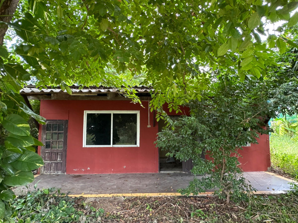 รูป ขายบ้านพร้อมที่ดิน ดอนมะนาว สุพรรณบุรี | ที่ดินล้อมน้ำ 3 ด้าน | เหมาะทำบ้านสวน รีสอร์ต หรืออยู่อาศัย - รูปที่ 11/18