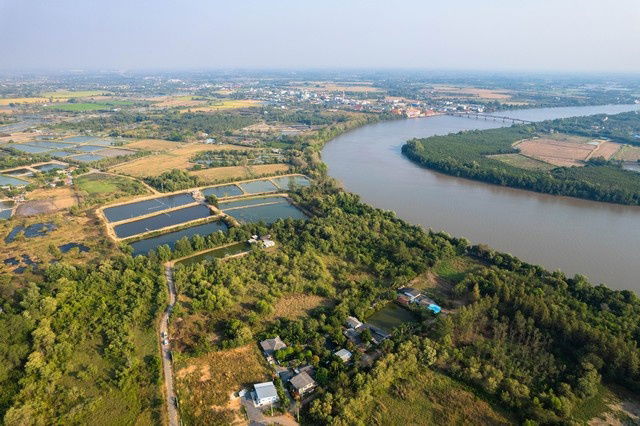 รูป ขายที่ดิน ติดแม่น้ำบางปะกง เนื้อที่ 18 ไร่ 2 งาน 39 ตารางวา ตั้งอยู่ที่ ต.บางกรูด อ.บ้านโพธิ์ จ.ฉะเชิงเทรา - รูปที่ 5/5