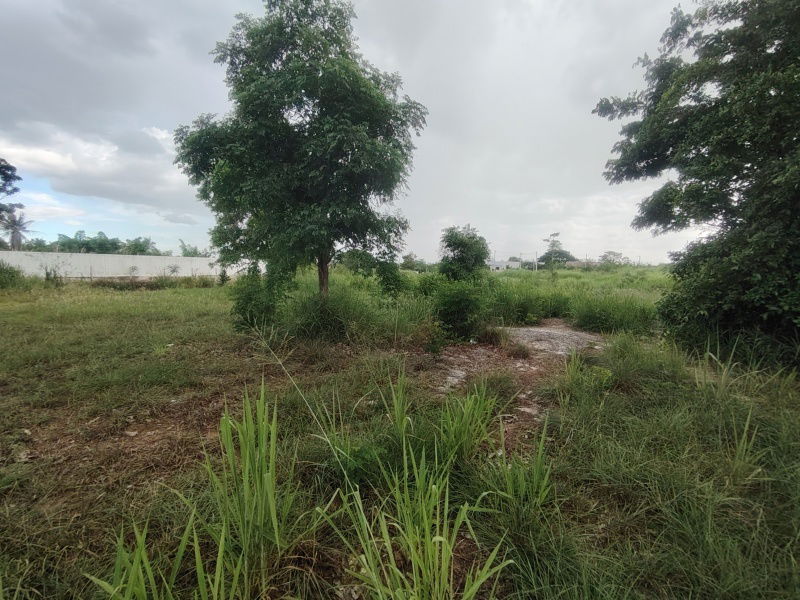 picture 252 TW | Main Road Home Plot  Direct Access to City Center! - 12/13