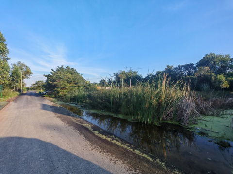 ที่ดิน บางใหญ่ นนทบุรี ซอยหมู่บ้านเคหะการเกษตร 43