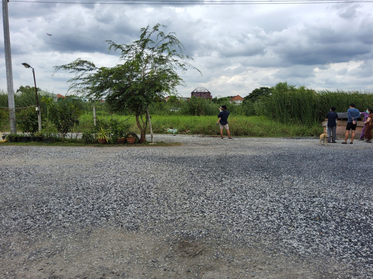 รูป ขายที่ดินเปล่า 199 ตร.วา ซอยคุ้มเกล้า16 แยก1 แขวงลำปลาทิว เขตลาดกระบัง กรุงเทพฯ - รูปที่ 2/3