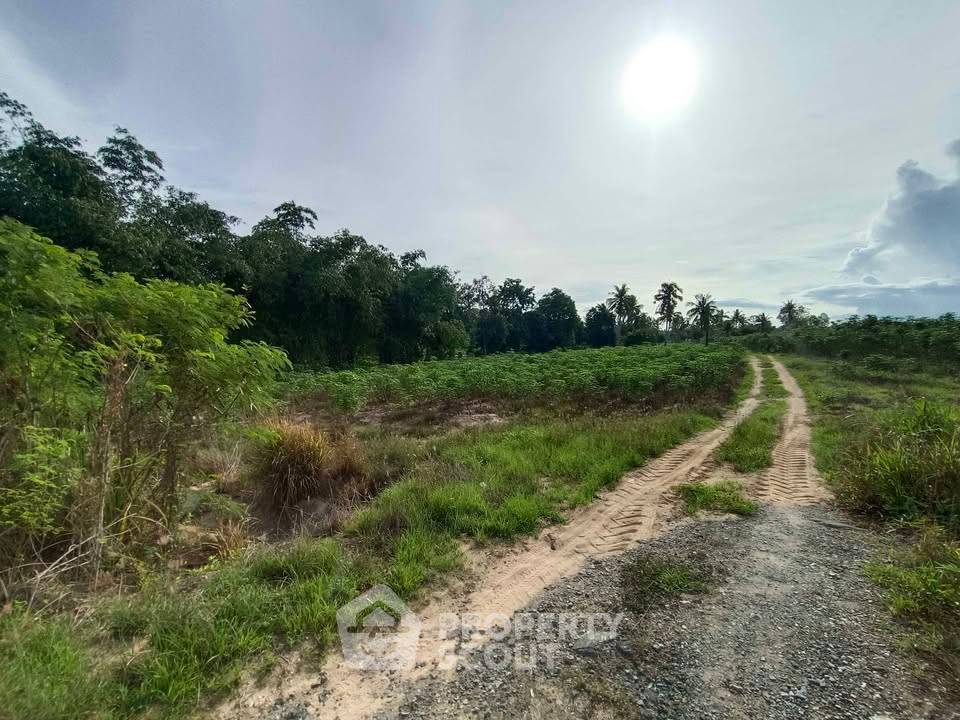 รูป ที่ดินสำหรับปล่อยขาย 8,000 ตารางเมตร แถว ใกล้ อ่างเก็บน้ำมาบประชัน (ID 2460860) - รูปที่ 3/4