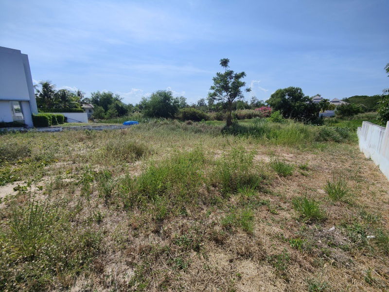 รูป ขายที่ดินสวย 241 ตารางวา  ที่ดินสวยพร้อมปลูกบ้าน  ภายในสนามกอล์ฟปาล์มฮิลส์ - ไม่มีค่าส่วนกลาง!  - รูปที่ 9/11