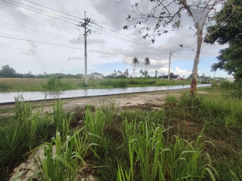 picture 252 TW | Main Road Home Plot  Direct Access to City Center! - 3/13