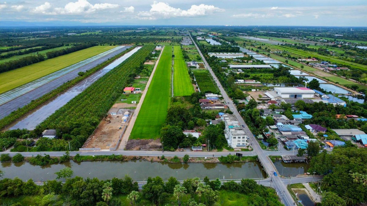 รูป ปลูกบ้านทำสวนโกดังเก็งกำไรใกล้เซเว่นซีเจมอลล์ โลตัส วัดโรงเรียนถนนคอนกรีต8.75มไร่ละ 1.45 ล้านบาทเนื้อที่ 1ไร่คลอง 11หนองเสือปทุมธานีรีบมาดูก่อน - รูปที่ 7/23